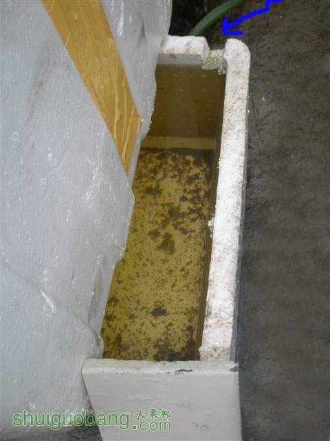 1.JPG