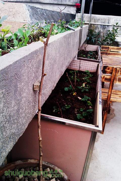 IMAG0029.jpg