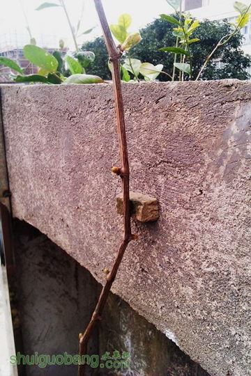 IMAG0030.jpg