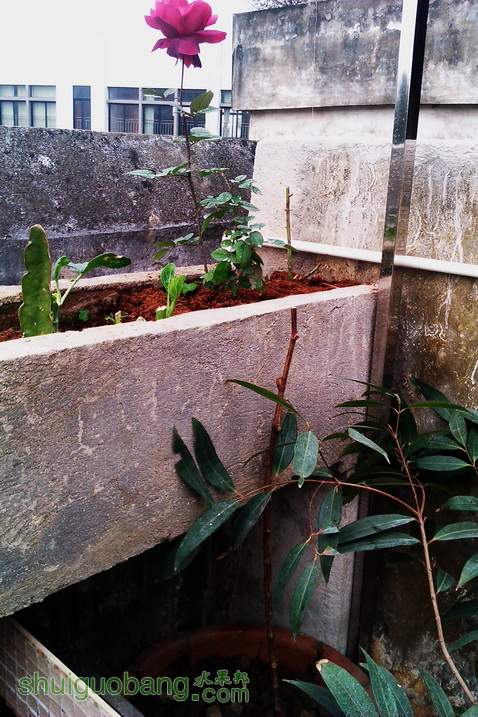 IMAG0032.jpg