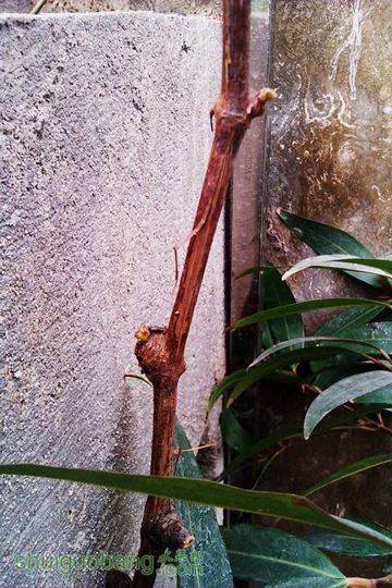 IMAG0033.jpg