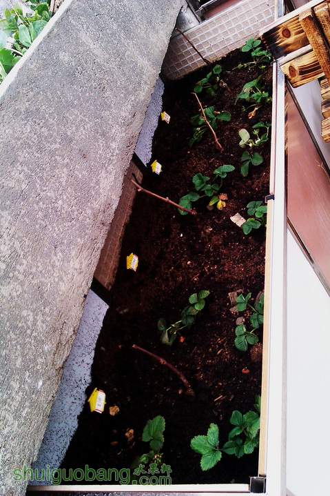 IMAG0031.jpg