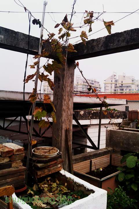 IMAG0040.jpg