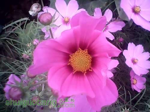 IMG00009.jpg