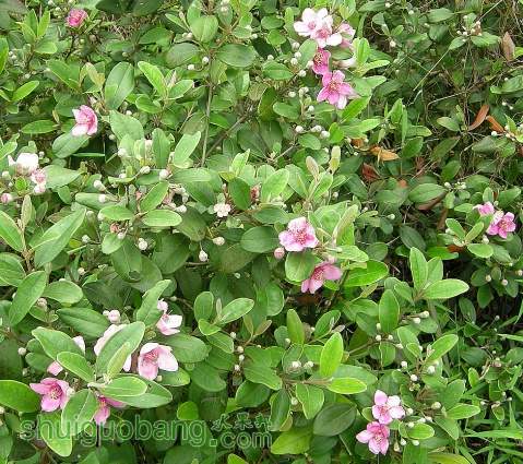 �ҽ��ﻨ6.jpg