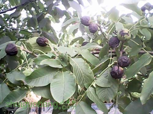 IMG00008.jpg