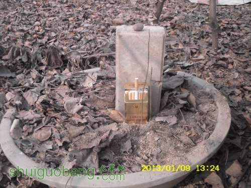 SDC10805.JPG