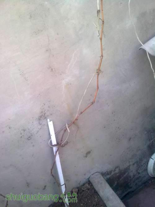 ͼ��0029.jpg