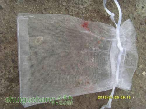 С SI854235.JPG