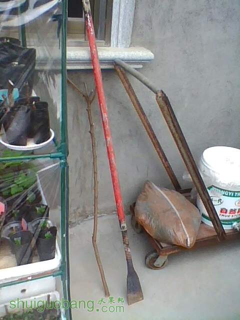 img0126_105645367.jpg