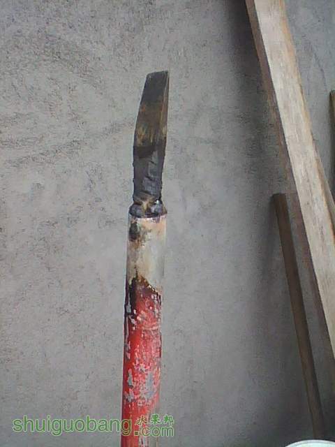 img0126_105726953.jpg