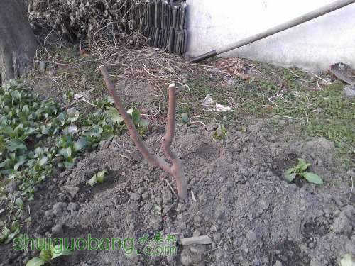 WP_000409.jpg