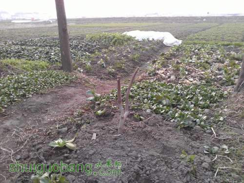 WP_000410.jpg