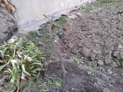 WP_000411.jpg