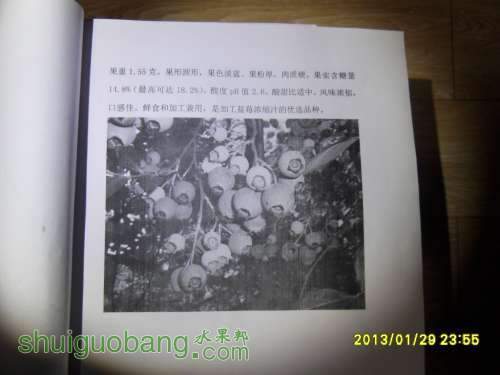 SDC14409.JPG