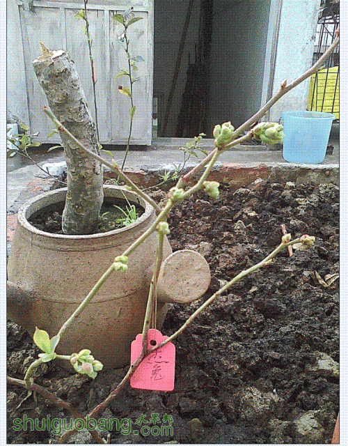 QQͼ20130130125733.GIF