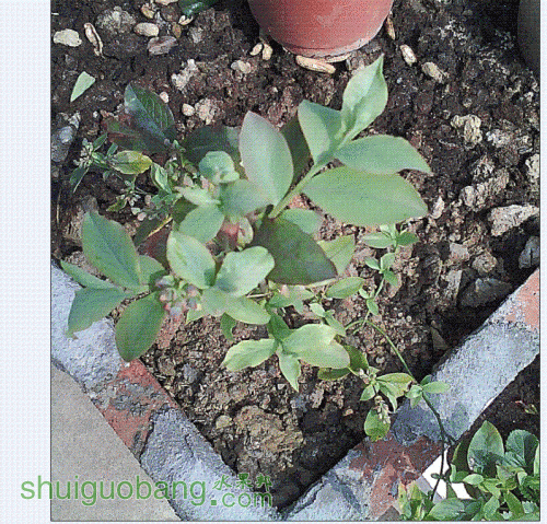 QQͼ20130130130137.GIF