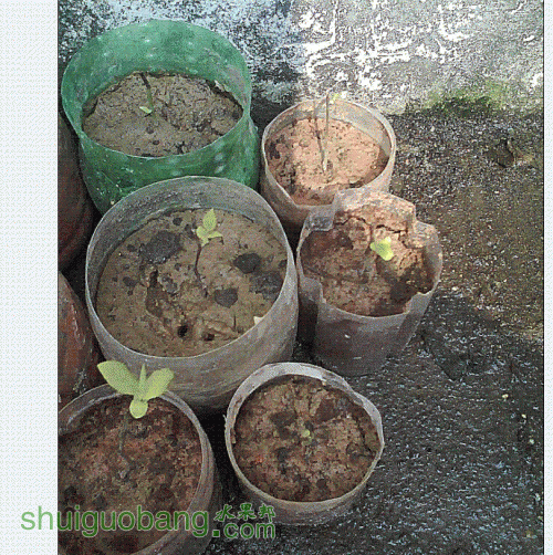 QQͼ20130130130211.GIF