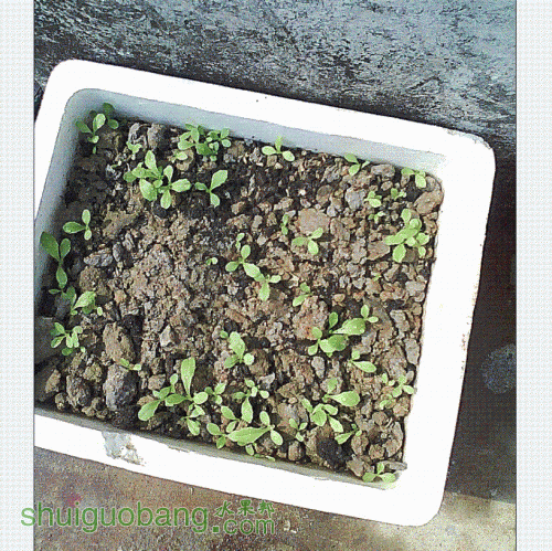 QQͼ20130130130617.GIF