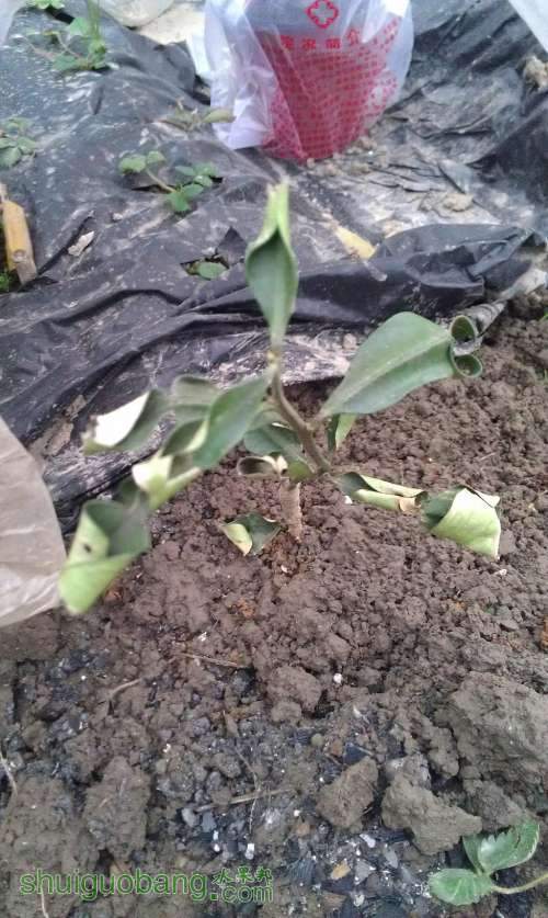 IMAG0235.jpg