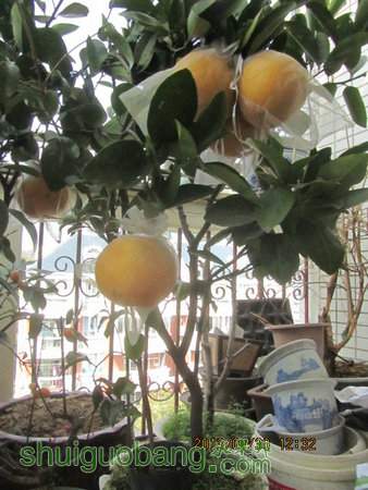 IMG_2853.JPG