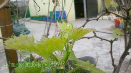 2013-02-03_13-10-00_626.jpg
