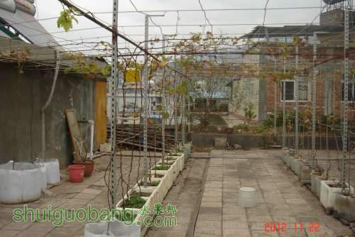 DSC01792.JPG