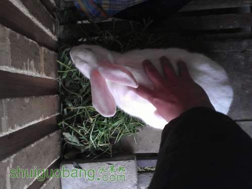 WP_000449.jpg