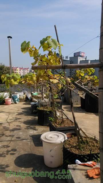 IMG_20130105_130534.jpg