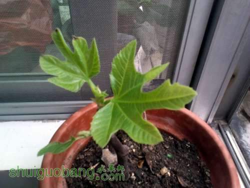 2013-02-10_15-54-39_468.jpg