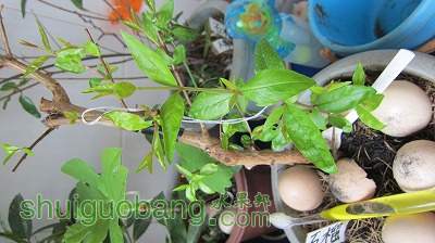 IMG_2753.jpg