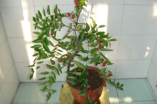 DSC04484.JPG