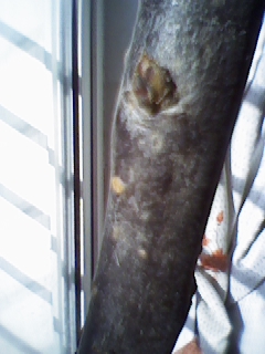 130215000ѿ.jpg