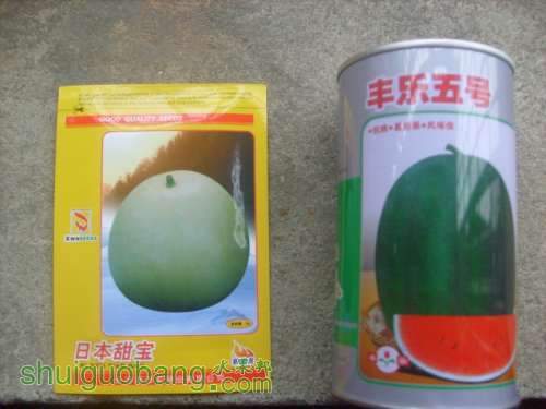 1.JPG