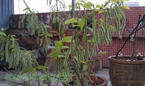 IMG_20130206_072836.jpg