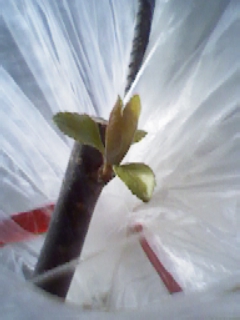 130222001ѿ.jpg