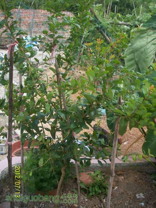 100_2650_����.jpg