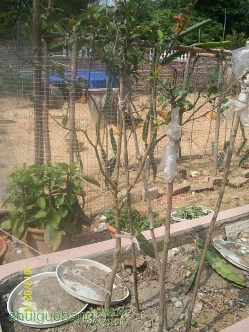 100_2777_����.jpg
