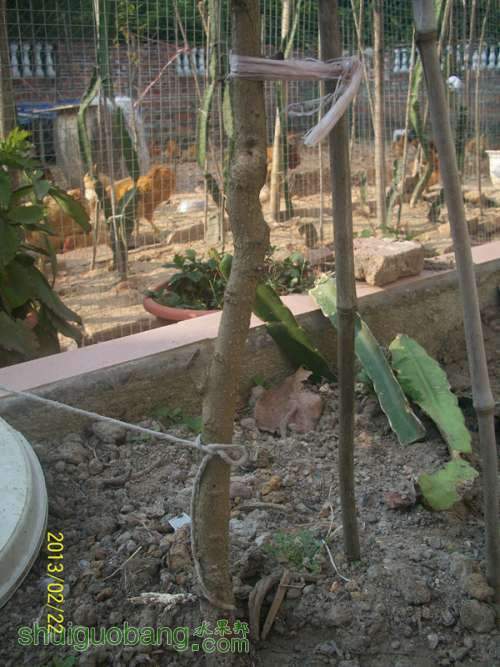 100_2814_����.jpg