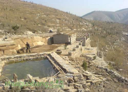 06.jpg
