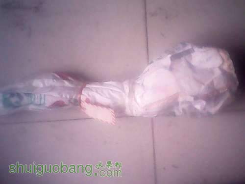 IMG00038.jpg