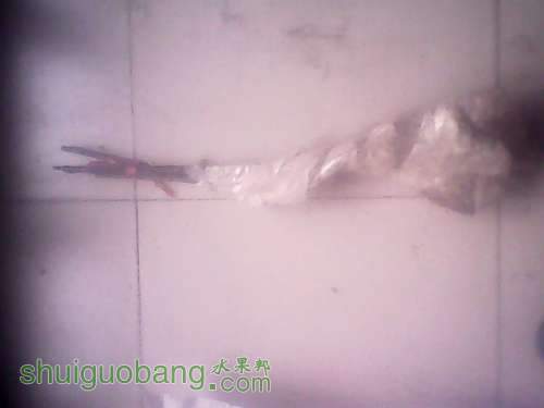 IMG00040.jpg