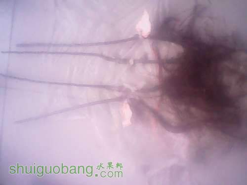 IMG00041.jpg