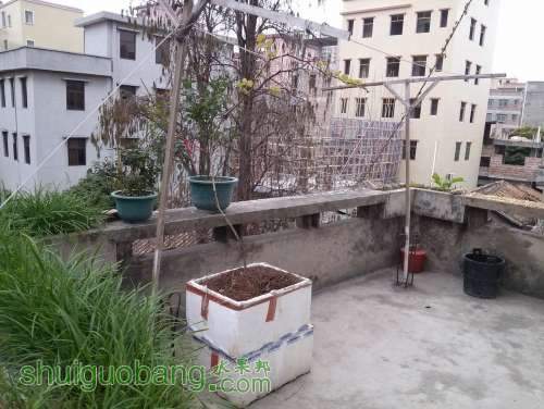 CAM00175.jpg