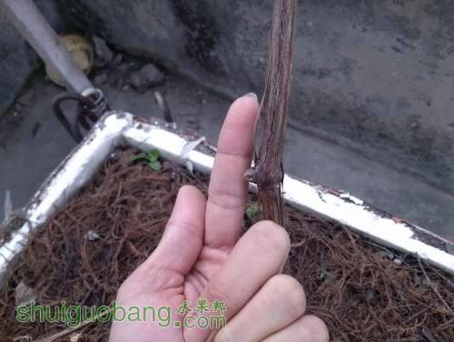 CAM00177.jpg