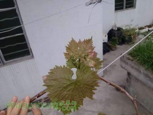 CAM00178.jpg