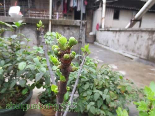 PICer20132261238.jpg