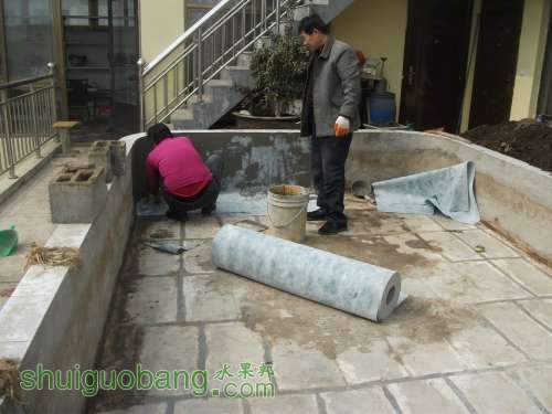 Ƭ 017.jpg