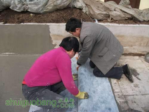 Ƭ 019.jpg