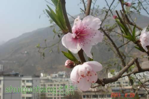 DSC01987.JPG